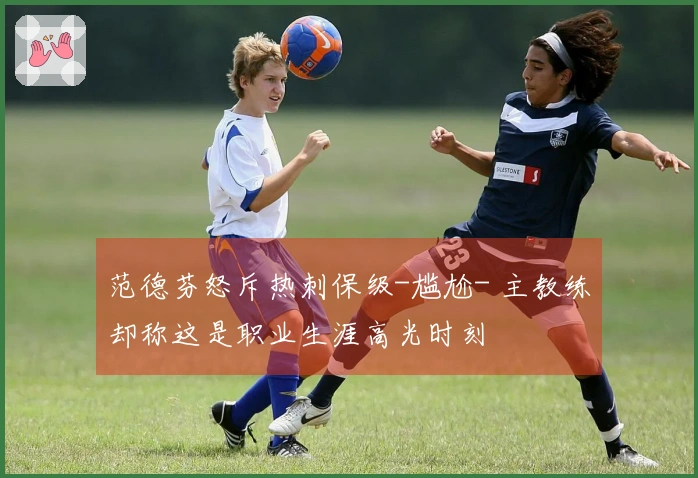 范德芬怒斥热刺保级-尴尬- 主教练却称这是职业生涯高光时刻